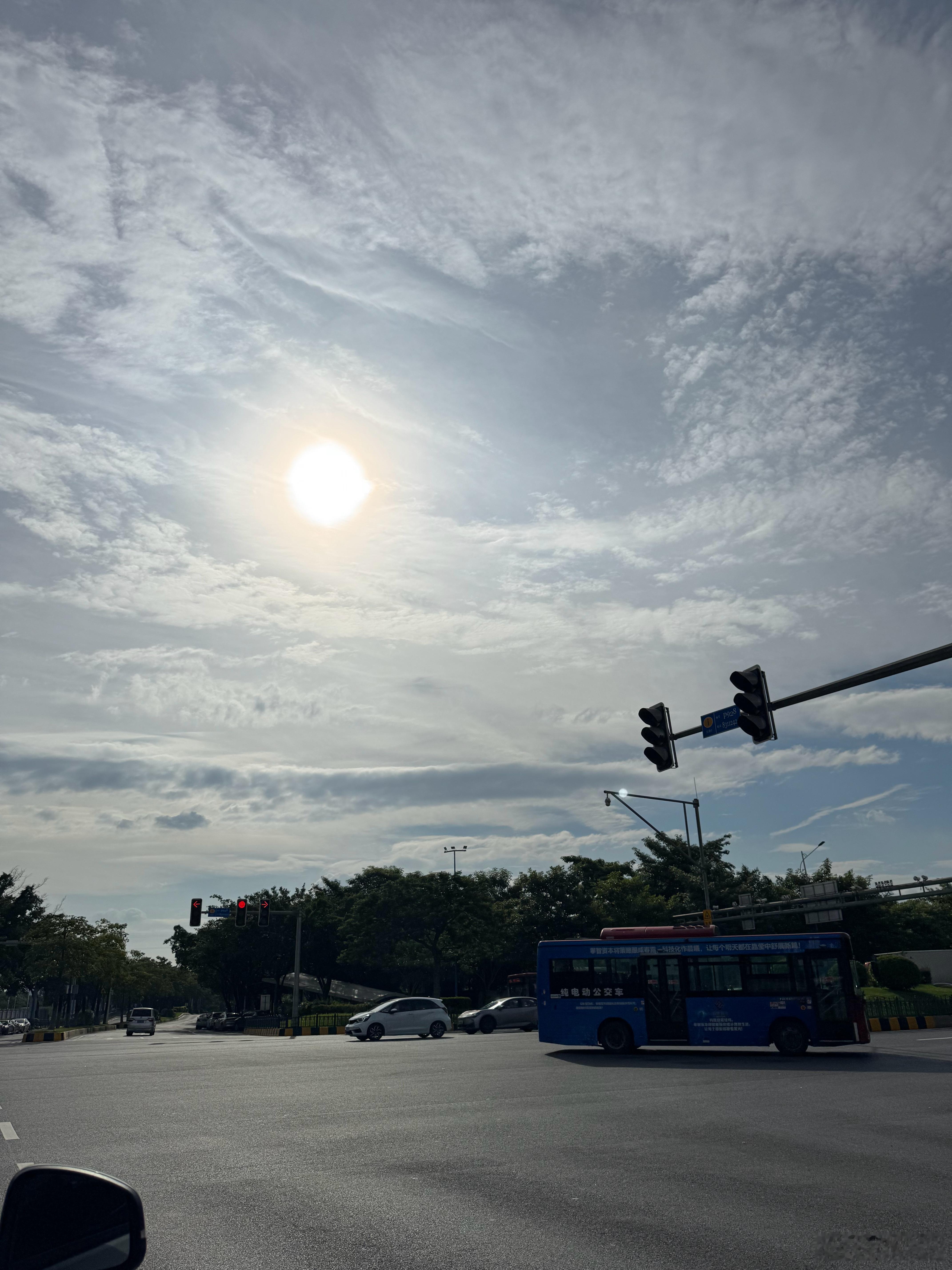 刚回到广州，是不是天气不太对？ ​​​