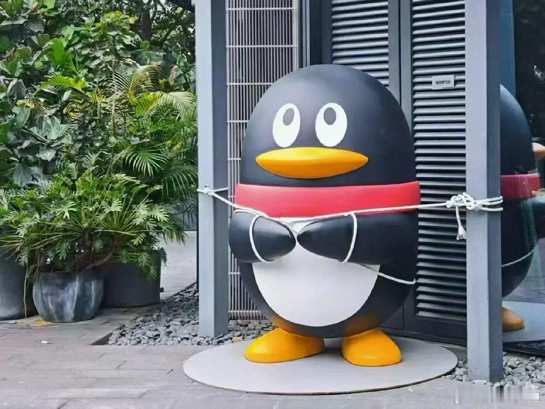 被骗了 ​​​