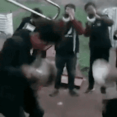 没事哈 跟着去法兰克福接着奏乐接着吹 ​​​