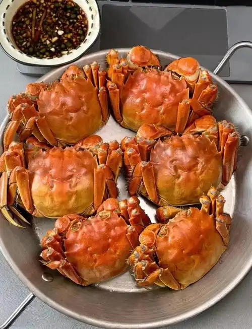 阳澄湖大闸蟹有了平替海归码农不当“码农”当蟹农，他用计算机思维重构传统养殖。对标