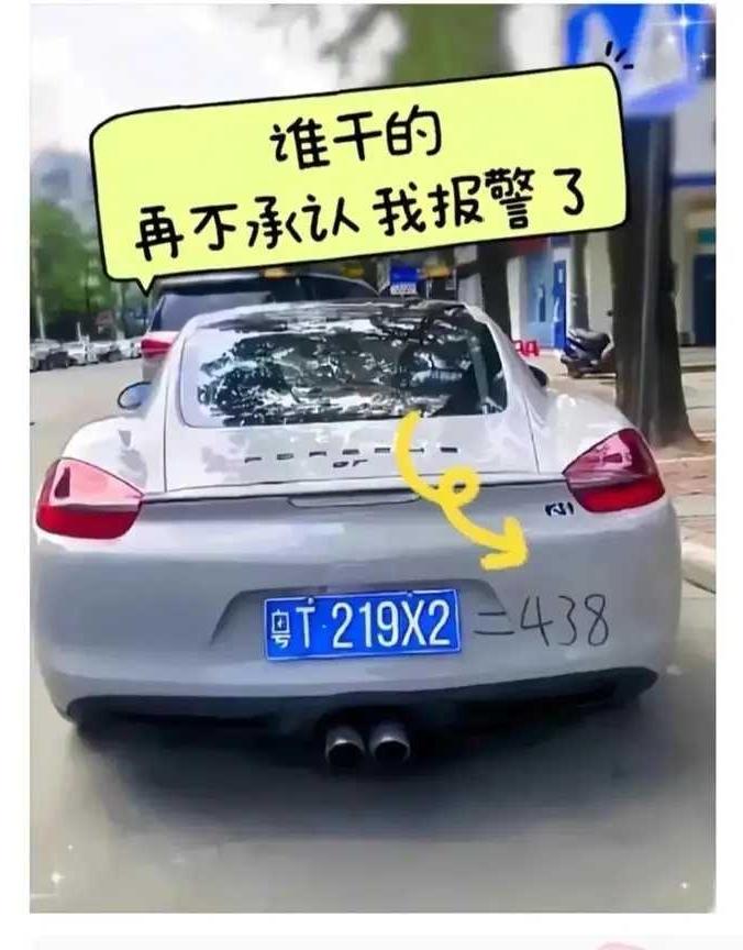 你报警也没用，就是告到天王老子那儿也没有用。
219×2就是等于438！