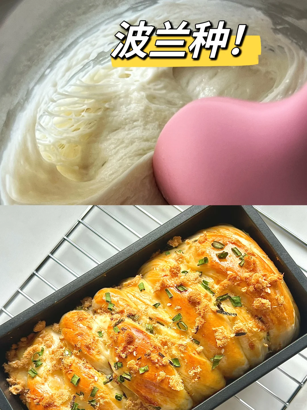 想要交换你手机里的波兰种🫠🤭