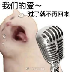 来分享一下最近的沙雕表情[春游家族] ​​​
