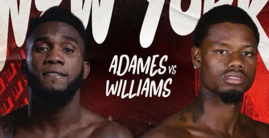 阿达梅斯VS威廉姆斯：WBC中量级拳王争霸赛，今天称重，明天开打，值得期待！
