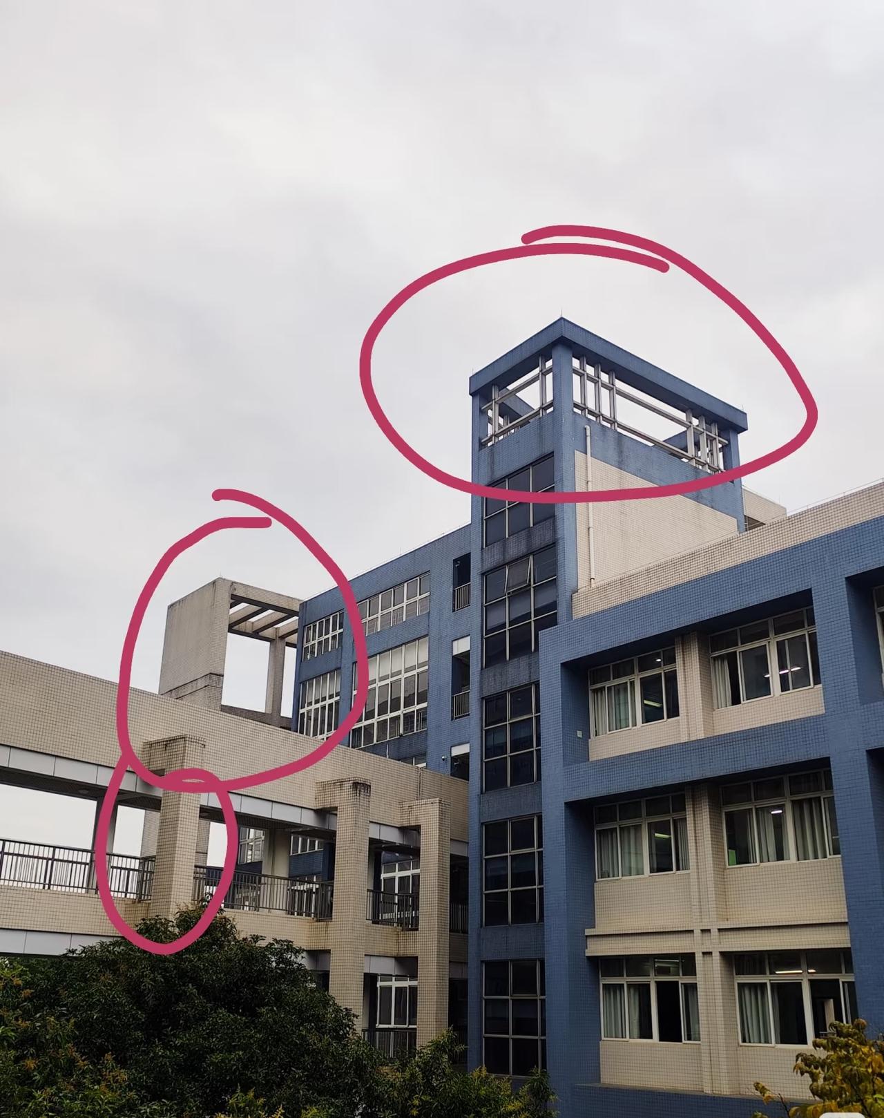 很好奇教学楼的这些结构有什么用呢？谈恋爱[捂脸]