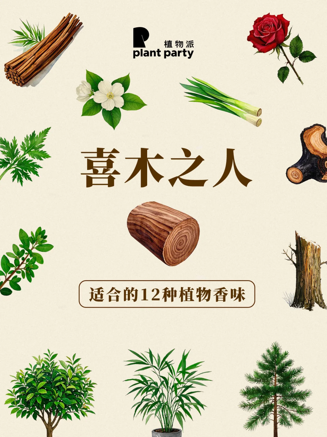 香味玄学‼️喜木🌲小伙伴看过来‼️