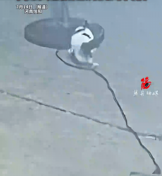 “不作死就不会死！”河南，饭店门口，一只小狗吃够了客人扔在饭桌下的骨头，它想尝试
