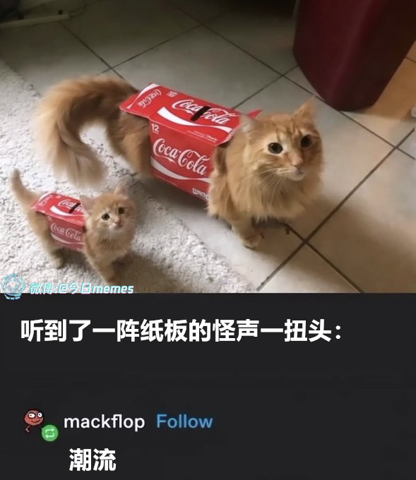 弄潮儿 