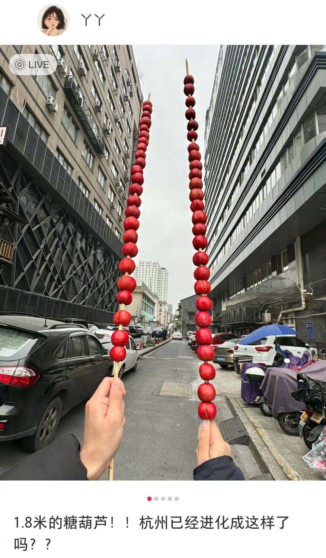坏了 我成糖葫芦的拐杖了 ​​​