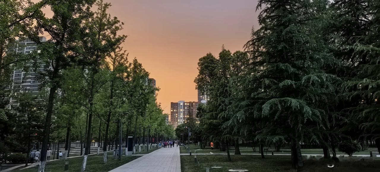 我的故乡在偏远的陕西关中丘陵地带，自然条件艰苦，但乡亲邻里们对教书育人非常重视。