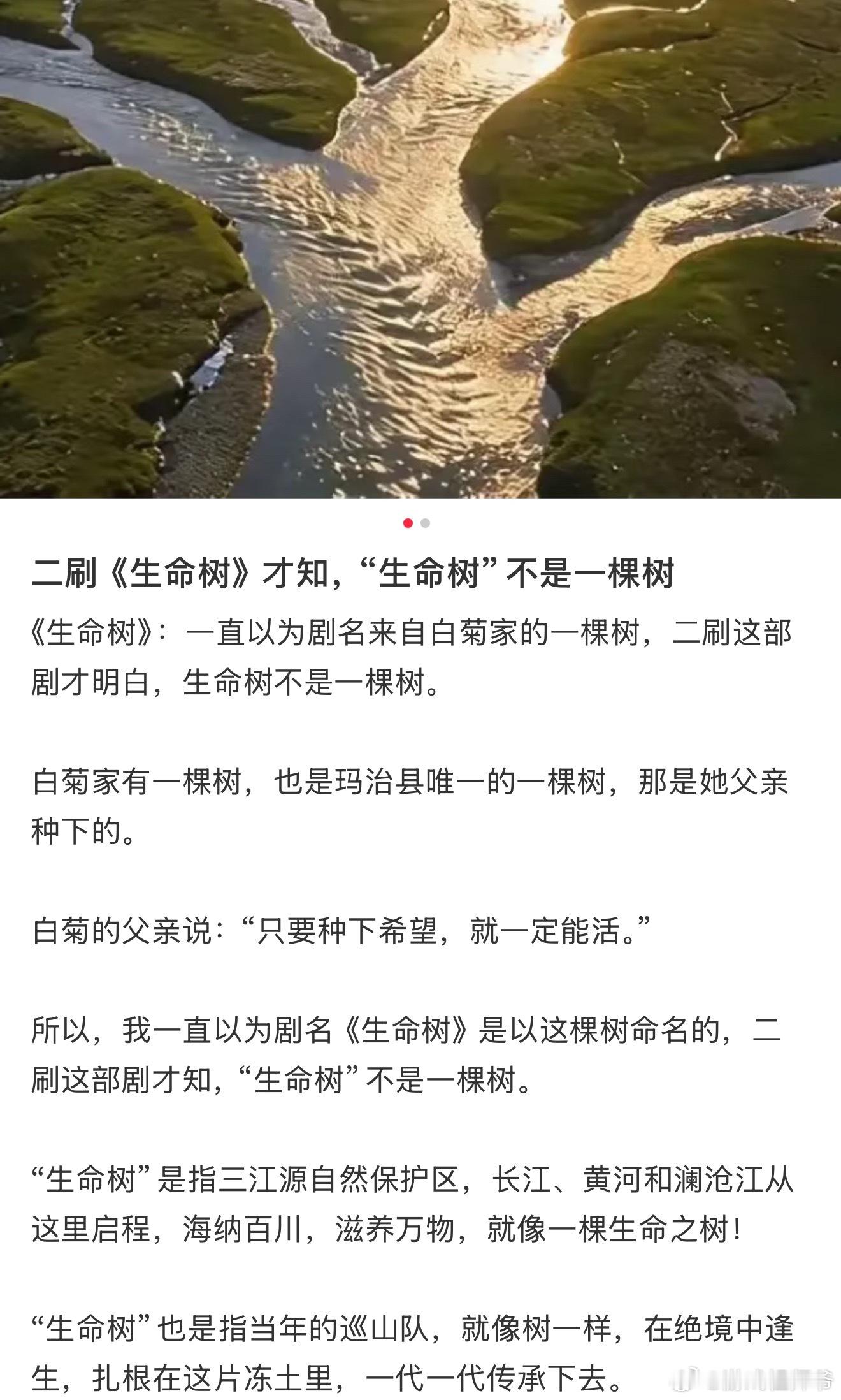因杨紫白玉兰女主去看生命树之前评论区看到网友的话：“当初我到处推荐安利，整得我要