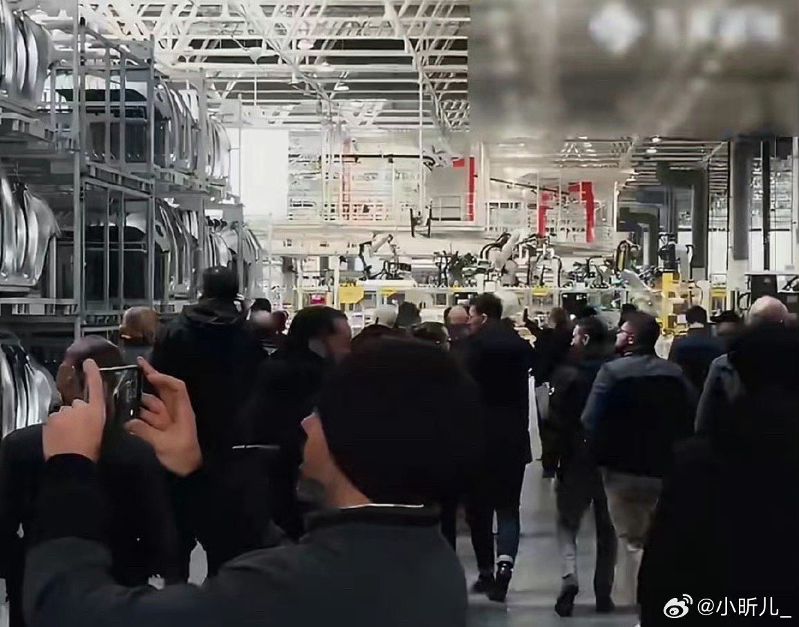 欧洲经销商点赞武汉智造谁不说一句武汉智造牛！开放日迎来欧洲经销商实地考察，全自动