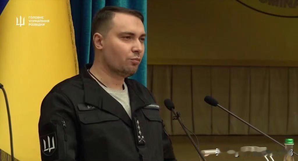 乌克兰国防部军事情报总局局长布达诺夫说：“在顿涅茨克地区的波克罗夫斯克，乌克兰国