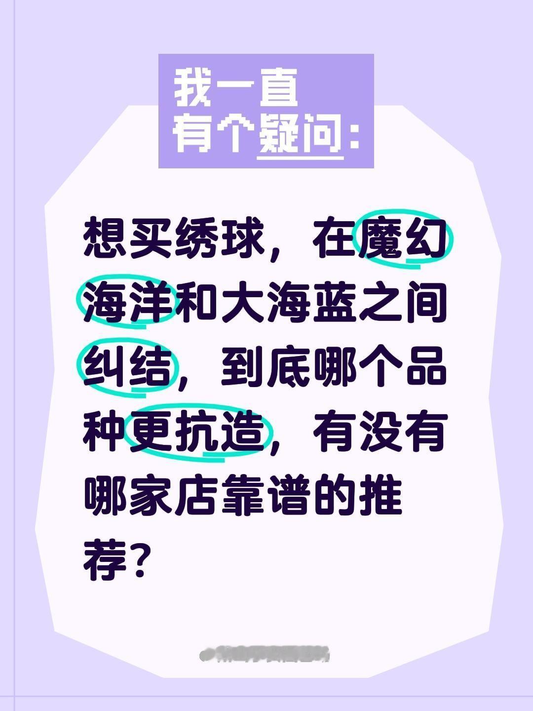大海蓝和魔幻海洋应该选哪个？想买绣球，在魔幻海洋和大海蓝之间纠结，到底哪个品种更