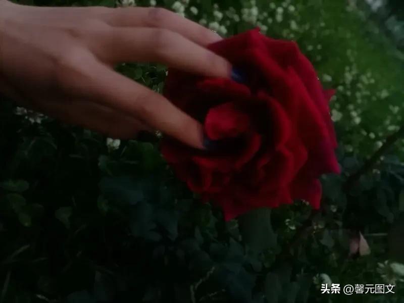 你是不是那个人
陪我一程却陪不了一生
你是别人的风景
为何要淋湿我的眼睛
我不后
