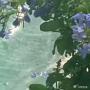 每日一善  💫阳光信用 💫每日一善阳光，是前行的火，点亮我们前行的灯；阳光，