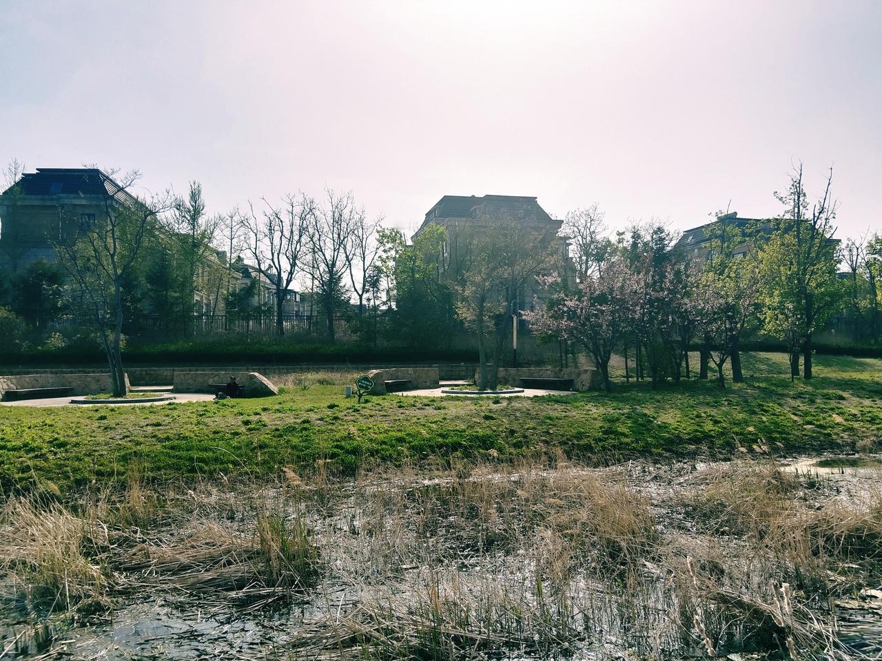 大自然美景，随手一拍