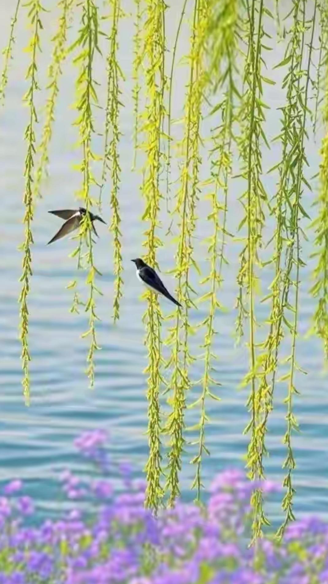 上联：柳绿桃红燕舞
下联：花香鸟语蝶迷
友友请下联[作揖]