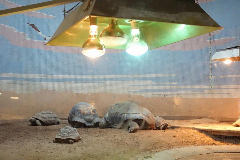 天一冷就长胖，原因还真不少。首先是饮食习惯，天冷后火锅、烧烤这些高热量食物成了大