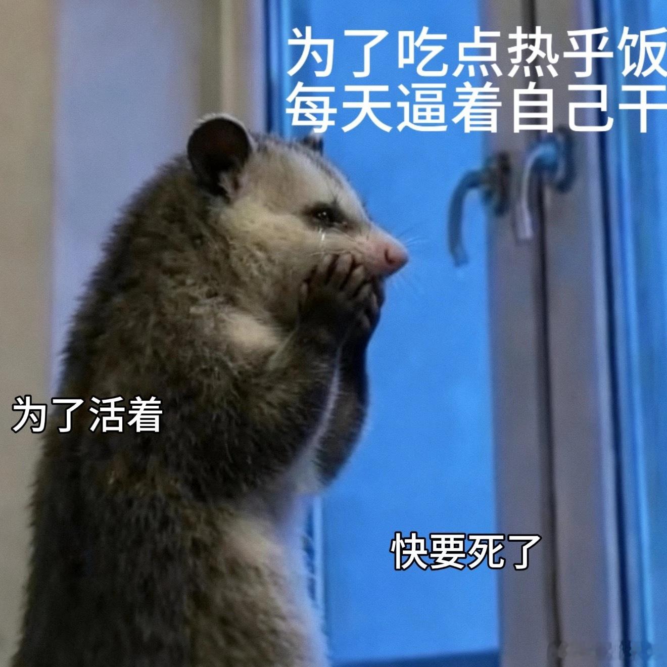 微信几乎把每个人捆绑在线上，我觉得这样挺好的，朋友之间不用担心远距离让彼此之间生
