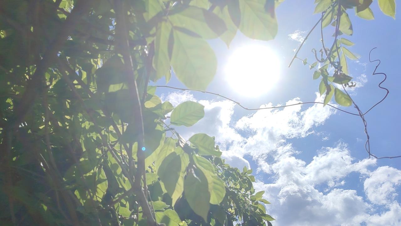 不惧未来传递正能量美好祝福