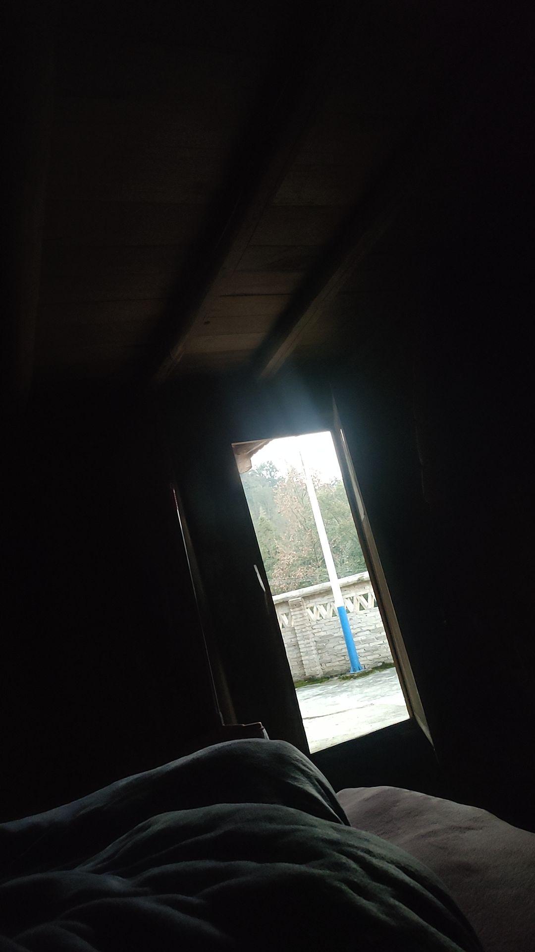 到我有钱了  我要把村里的鸡啊狗啊树枝上的鸟还有我爸抓起来   早上5点天还没亮