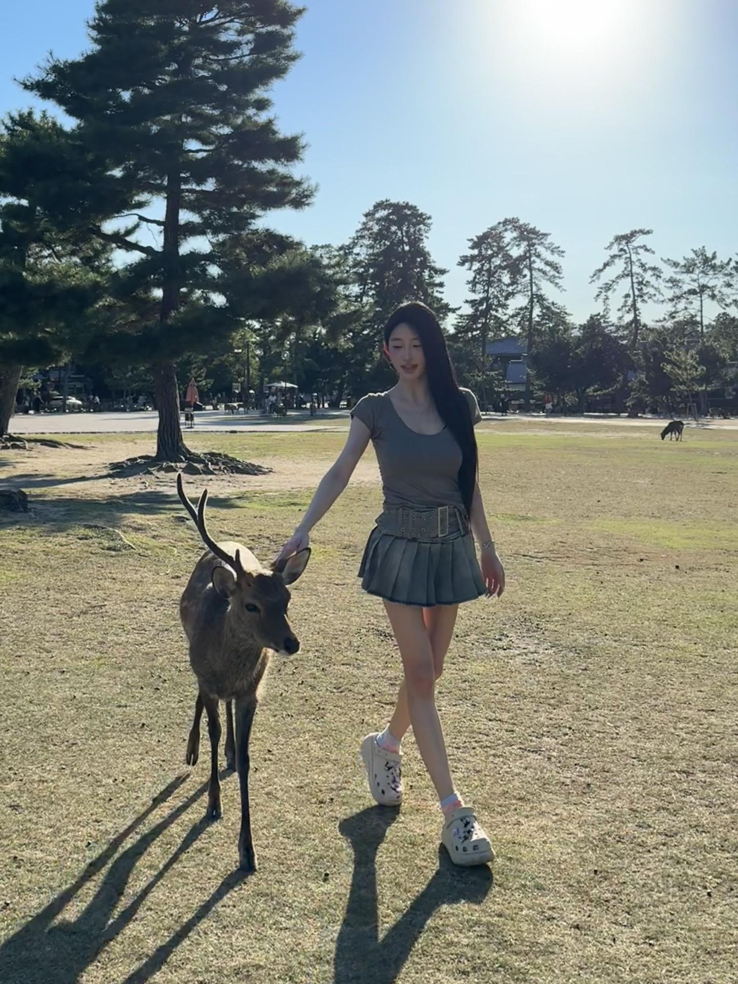 和🦌    🦌