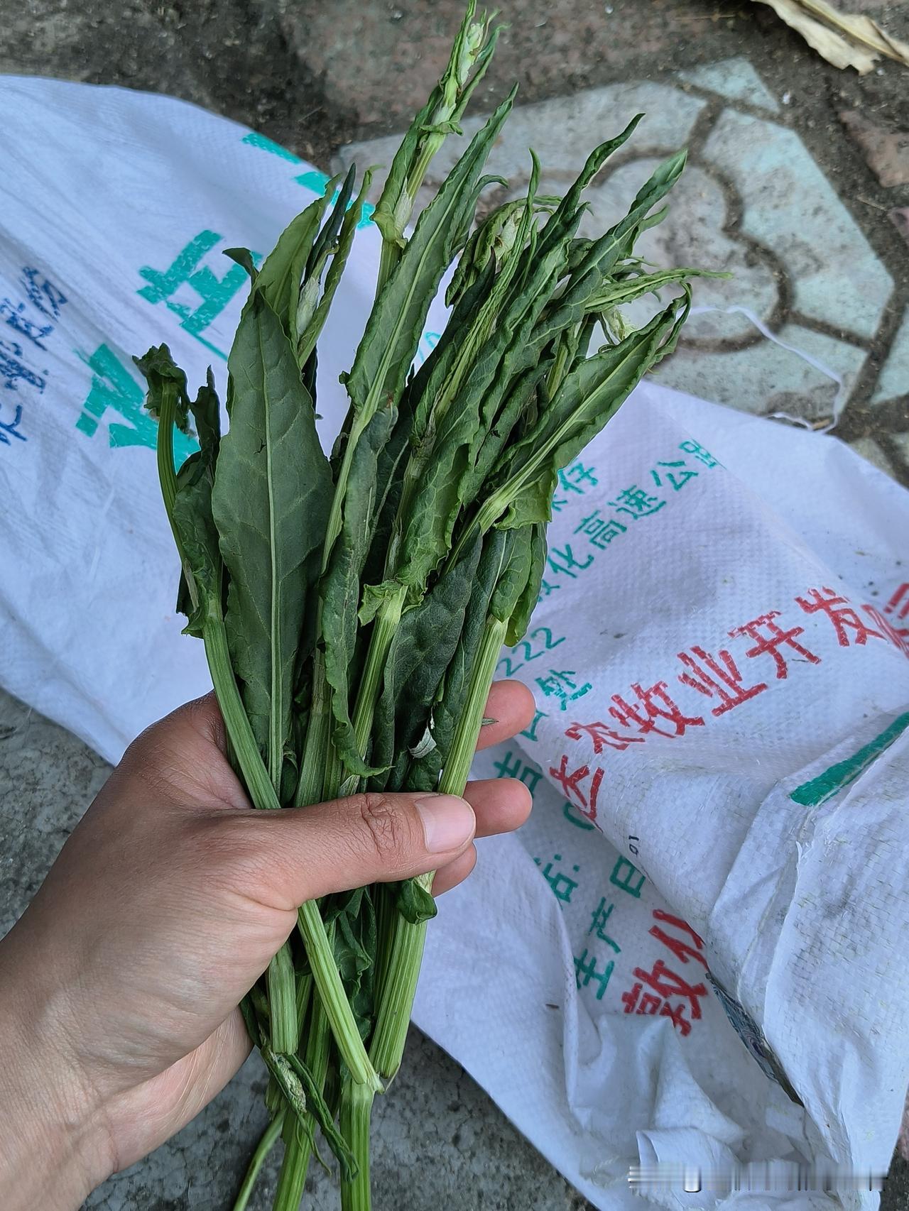 最近迫不得已停更了几天，
是因为一直在跑医院🏥

真的是老话说的那样，
有啥也