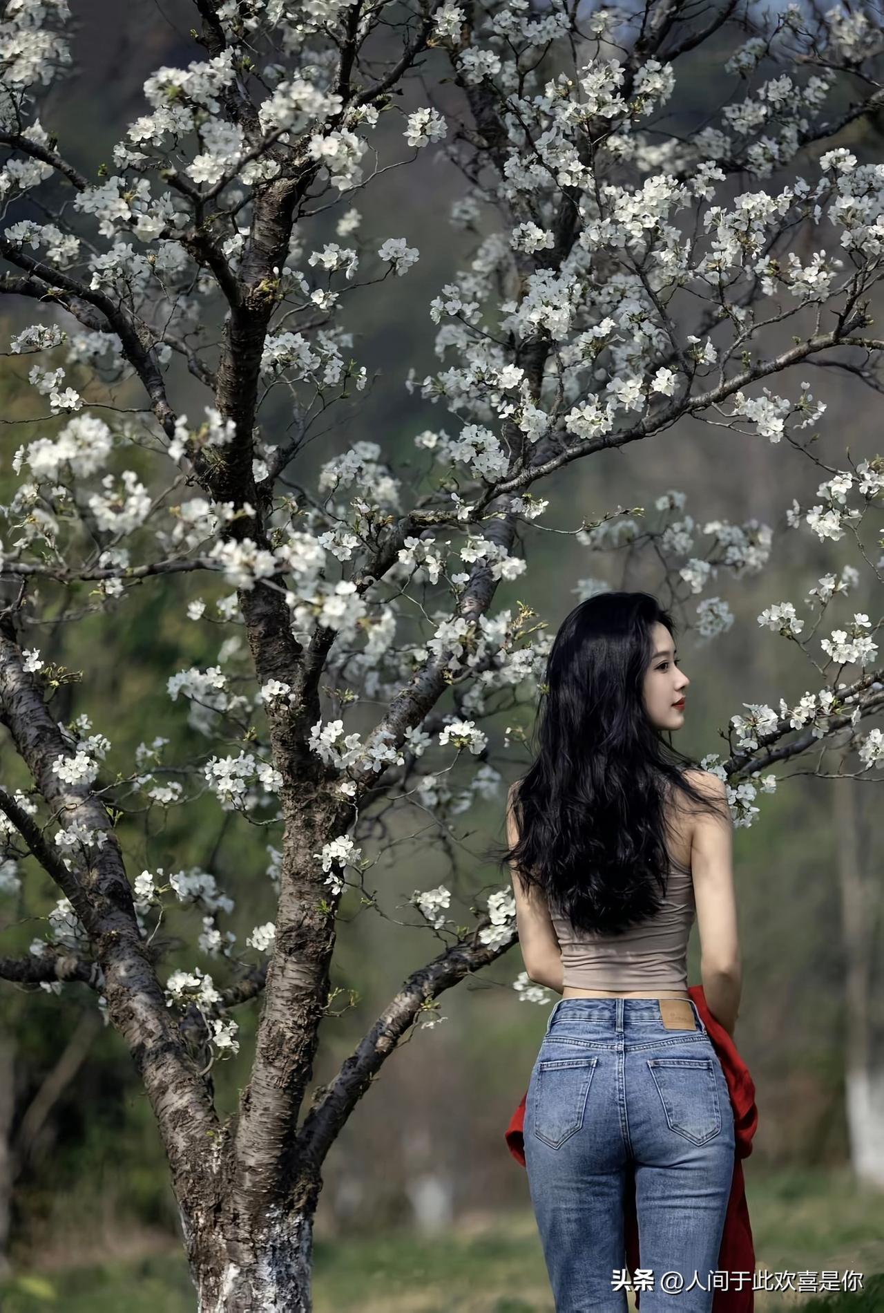 花有重开日，人老何曾再少年