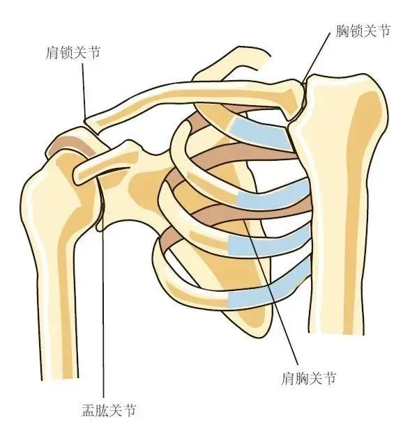 分享今日的小测试