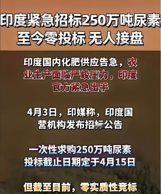 印度250万吨尿素招标失败了！

其实印度也没打算成功，但是总得做点什么，要不然