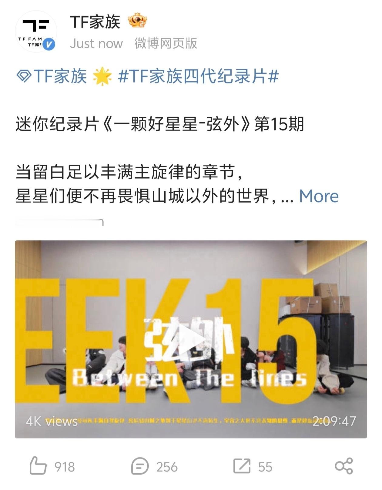 【TF四代】TF家族新年音乐会 四代发了纪录片两个小时