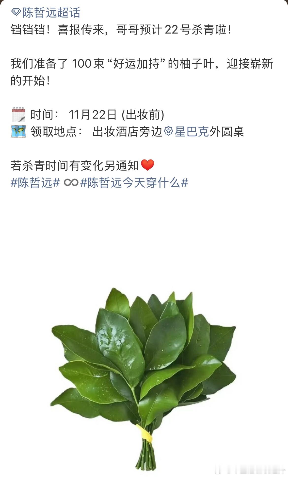 这么有意思的应援活动搞得人怪想随一把的。