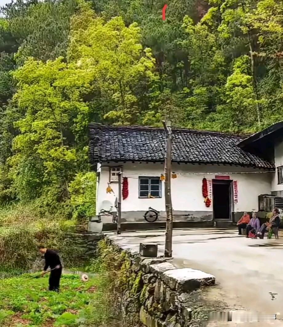 说实话，你有听说过，60岁以上的老人可以免费不用交农村合作医疗保险吗？

前几天