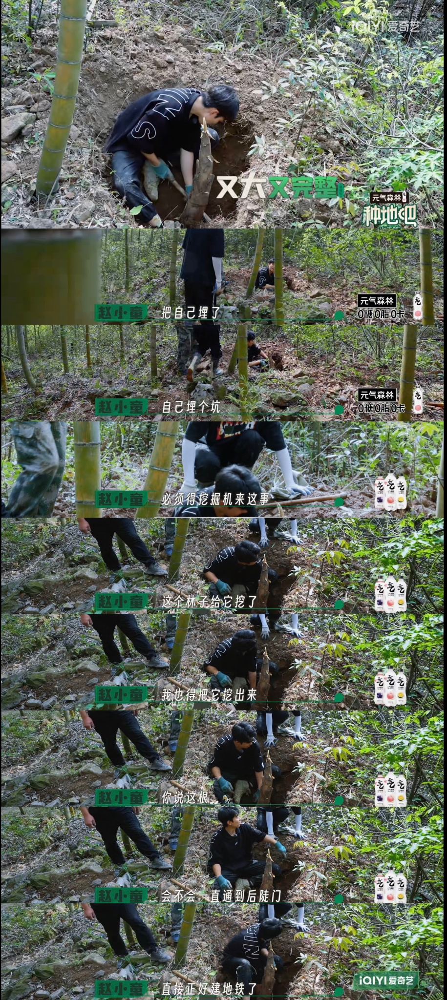 小童挖笋乐死我了，力王和笋王的对决，挖到最后人都坐在坑里了。赵小童做什么事情都认