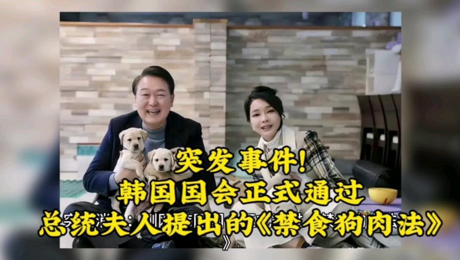 【韩国狗肉馆迎来最后一批食客】韩国明年2月起禁吃狗肉 韩国《禁食狗肉法》的落地，