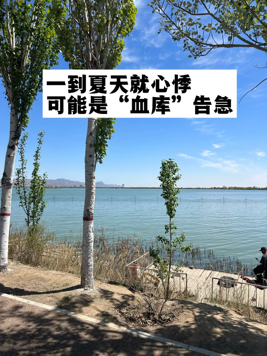 夏天心跳加速，可能是“血库”告急.