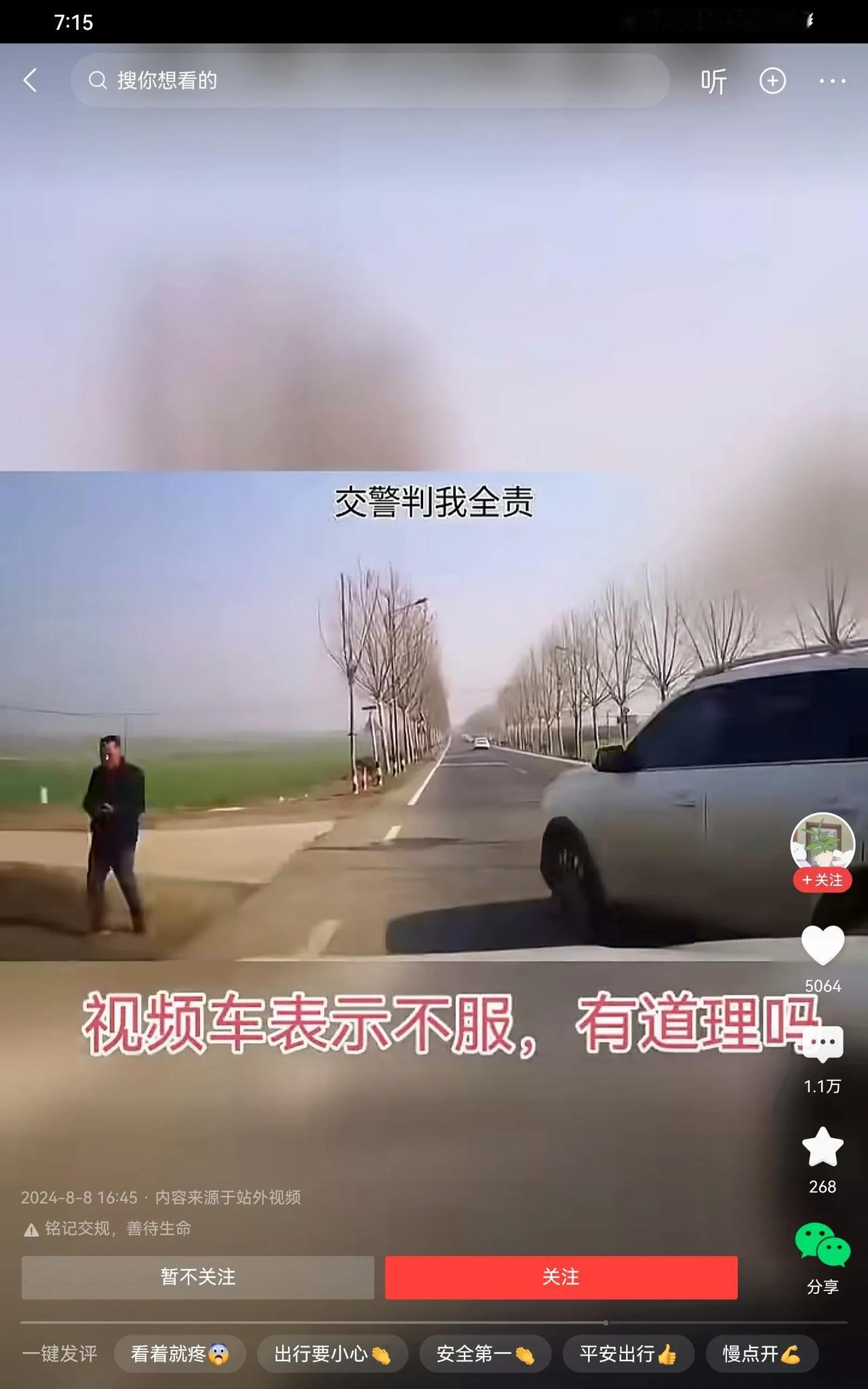 全责