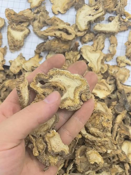 孙思邈有个方子叫独活寄生汤，治类风湿效果很不错。

独活寄生汤，《千金方》里是这