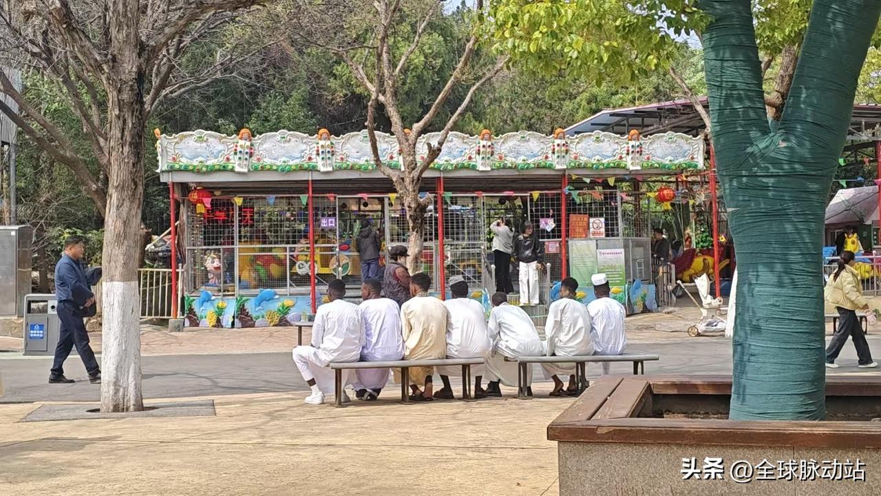 昨日陪家人一起出去春游，前往彭祖园以及云龙山游玩。
在路过彭祖园的游乐场时，遇到