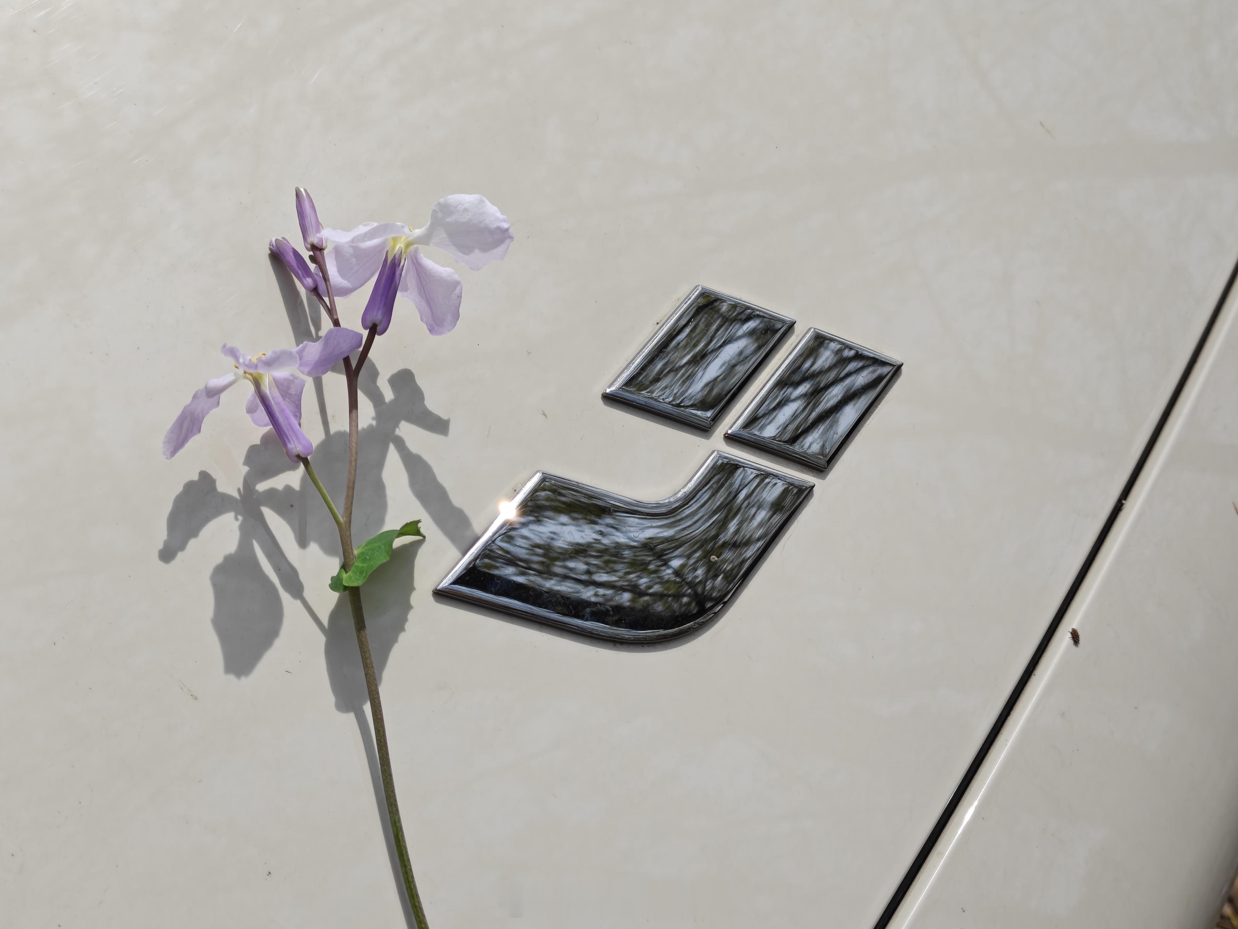 我的日常plog幼安唠嗑汽场全开 找到一个拍照好好看的地方，只有自己只能随便拍点