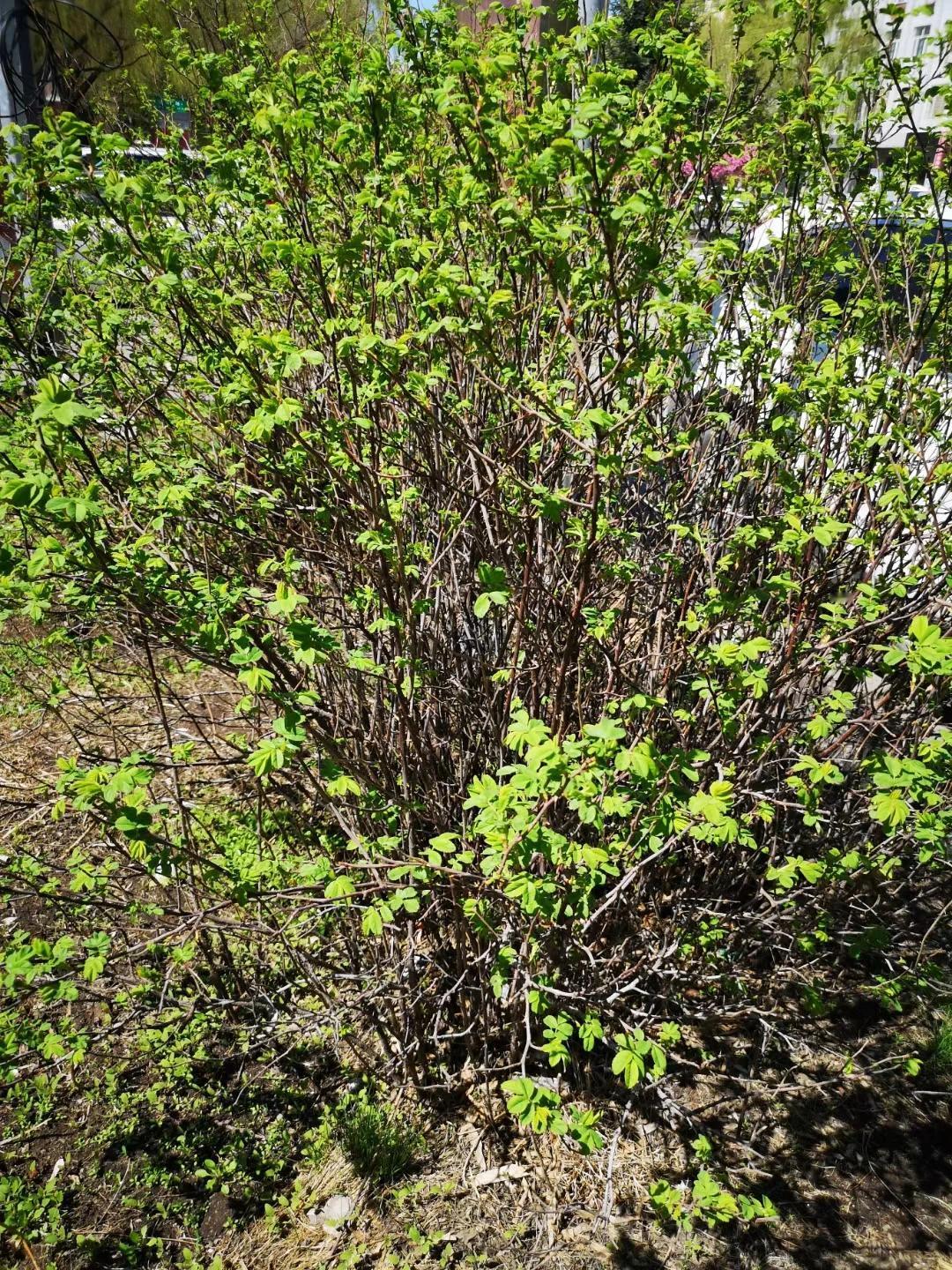 #分享你相册的春天#