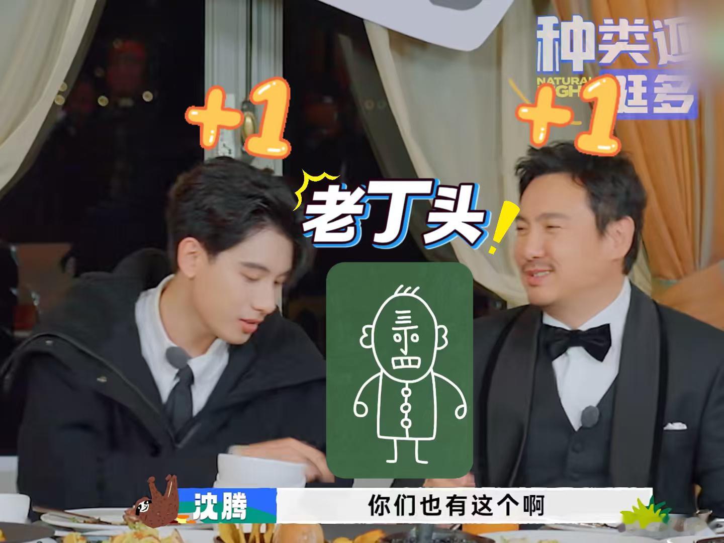 原来沈腾胡先煦说的是这个老丁头腾哥和胡先煦在古堡唠的“老丁头”，居然是刻进DNA