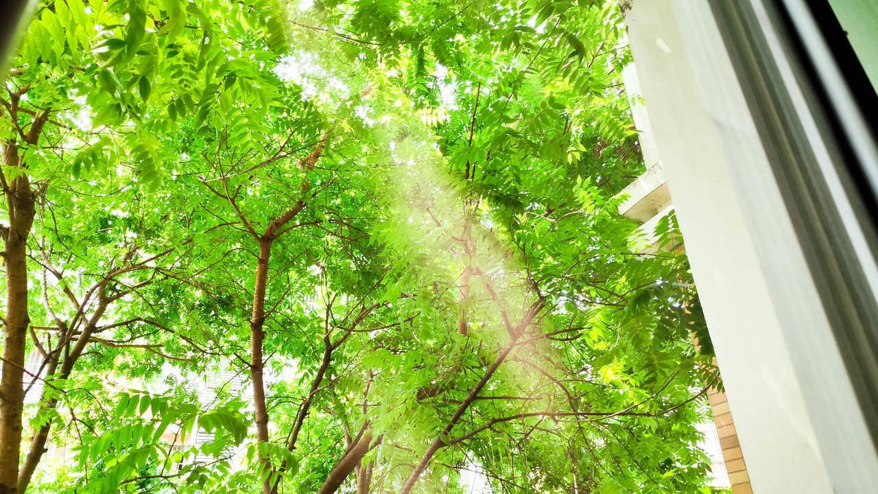 今年春天最想实现的心愿过好自己的每一天就好！分享一张自然风景的照片