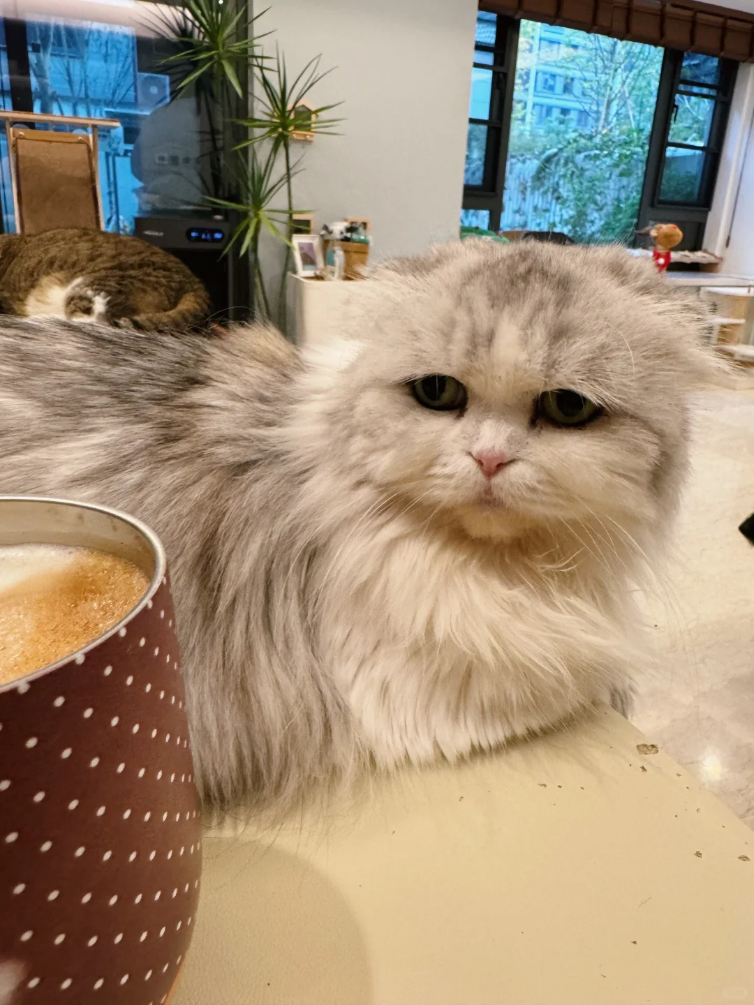 这个杯子原来是这么用的！
