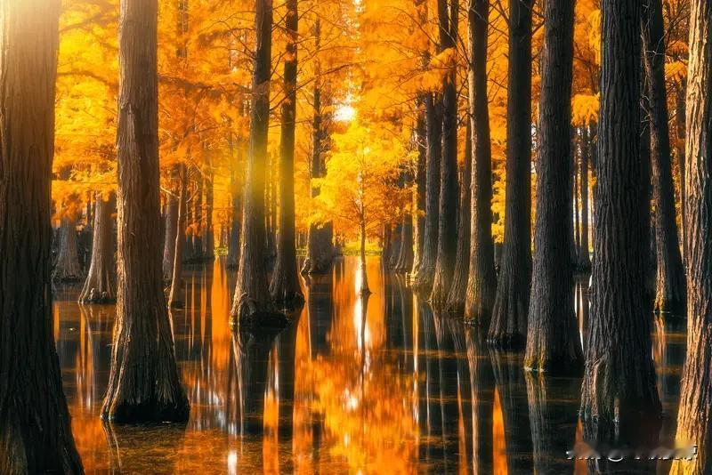 晒图笔记大赛 秋天，真是个适合晒图的季节！就说广州的秋，跟北方的萧瑟截然不同。