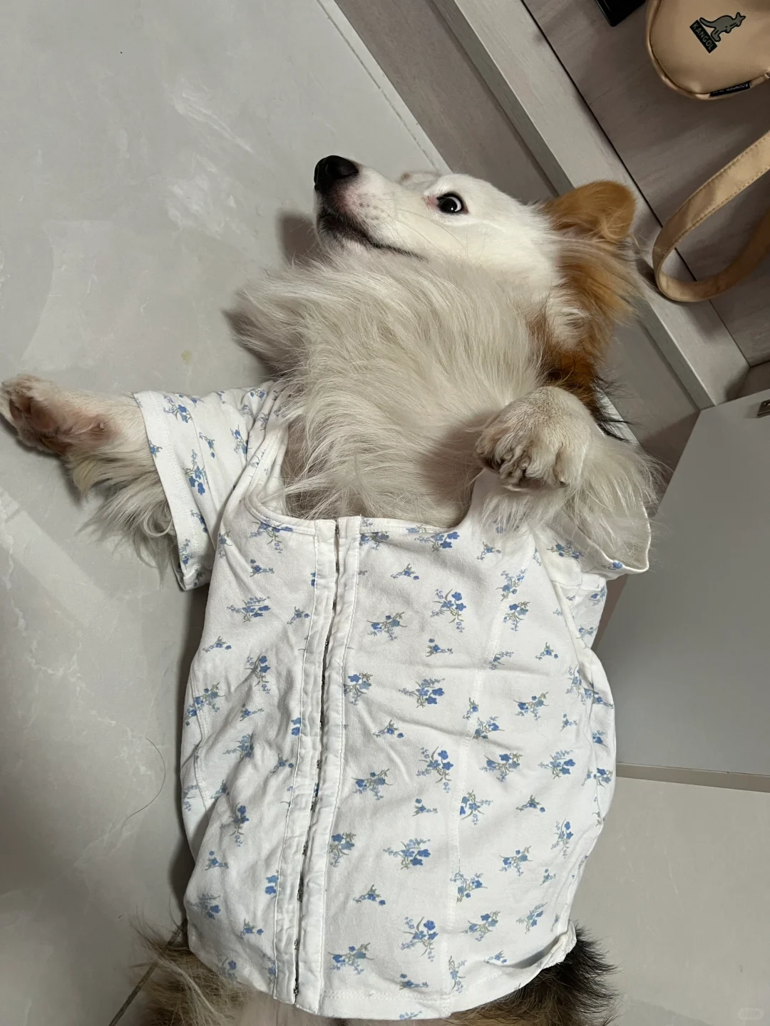捡妈妈的衣服穿