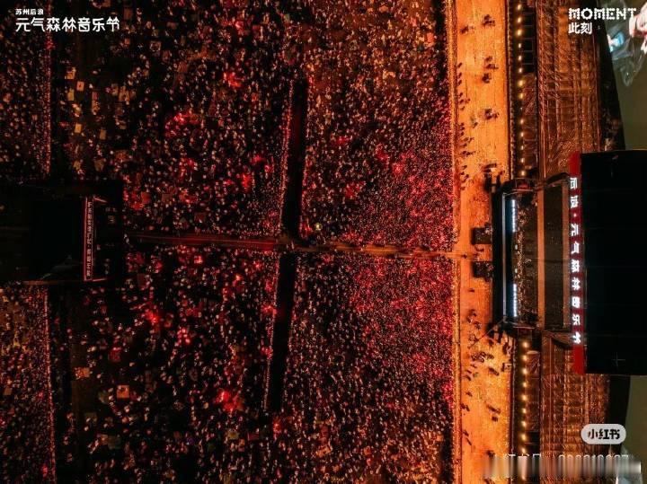 任嘉伦元气森林音乐节人气恐怖如斯[流鼻血] ​​​