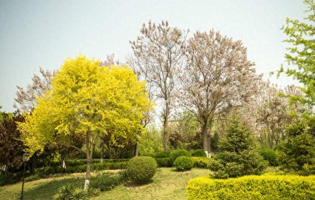60岁是道坎？别不信，老爷子过了这个岁数，都有这4个变化