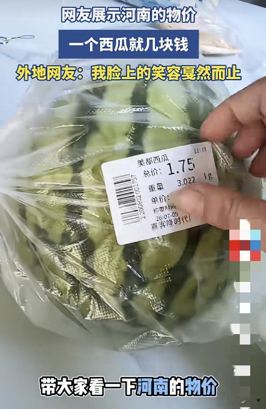 网友展示河南农副产品的物价，一个西瓜6斤多花了1块7毛5。一个绿茄子，9分钱一斤